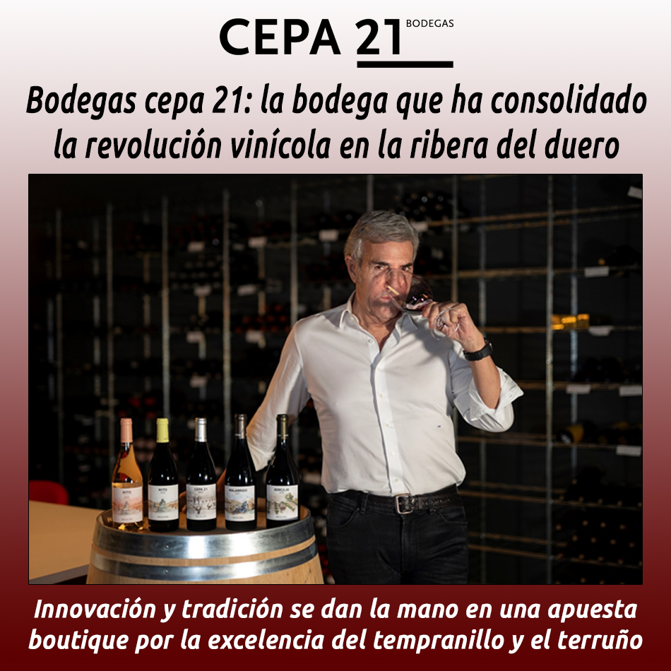 Bodegas cepa 21: la bodega que ha consolidado la revolución vinícola en la ribera del duero