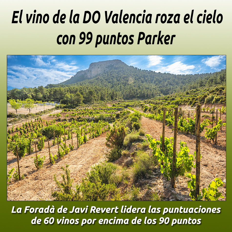 El vino de la DO Valencia roza el cielo con 99 puntos Parker 
